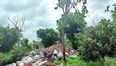 Hoskote Lake filled with debris and waste