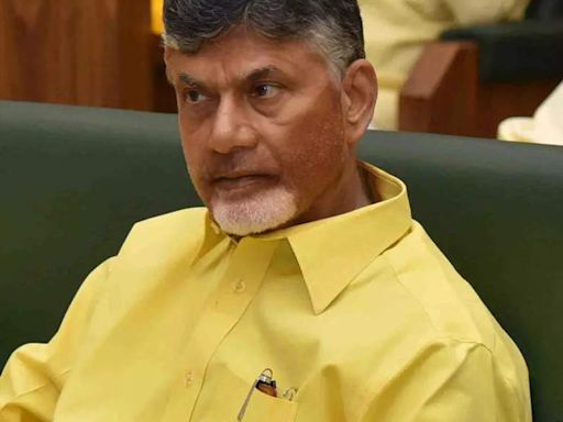 Naidu's 1st wish of petrochem hub, oil refinery granted - The Economic Times