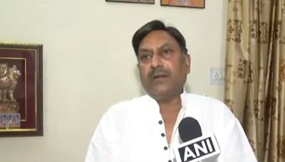 Party worker hired killers: BJP MLA cites Trump shooting