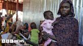 Sudan war: Zamzam camp near el-Fasher pushed into famine - experts