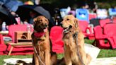 Over 200 Pets Set Record for 'Most Dogs Attending a Film Screening' at “PAW Patrol: The Mighty Movie ”in L.A.
