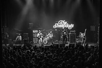 The Sheepdogs