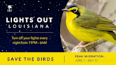 Lights Out initiative helps migrating birds find way home