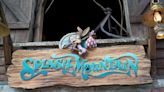 Splash Mountain has closed at Disney World, and its last day attracted long lines