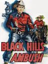 Black Hills Ambush