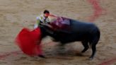 Spain abolishes national bullfighting award in cultural shift