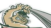 Gary SouthShore RailCats box score from Wednesday, May 22, 2024