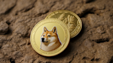 Best Dogecoin Casino 2024 - Doge Gambling Sites Rated