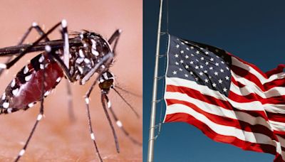 Estados Unidos alerta por amenaza de dengue