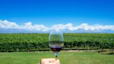 Indulge in the luxurious wine experiences of Argentina's Mendoza region