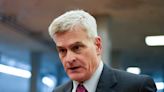 Sen. Bill Cassidy claims people need AR-15s to defend themselves from 'feral pigs,' inadvertently echoing an old meme about 'feral hogs'