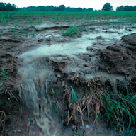 World Water Day