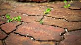 I swear by an Amazon buy to get your patio sparkling - it banishes algae & mould