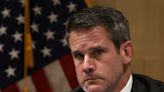 Rep. Adam Kinzinger shares letter threatening to 'execute' him, his wife, and 5-month-old baby