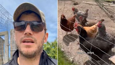 Chris Pratt Hangs Out with His Chickens’ on Washington State Ranch: ‘Just Me and the Girls’