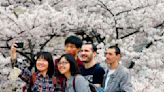 赴日留學經費恐升高 日經：日本國立大學可能調漲外籍生學費