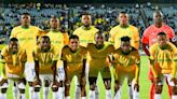 Sundowns to say goodbye to two international players?