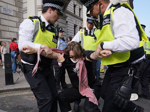 Nine arrested after pro-Palestine protesters block entrance to Foreign Office