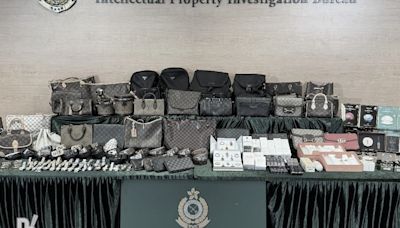 Hong Kong Customs seizes counterfeit goods and illegal goods worth HK$1.7 million