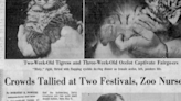 50 years ago in Expo history: South Carolina's governor was no match for a baby tiger and ocelot when it came to crowd-pleasing