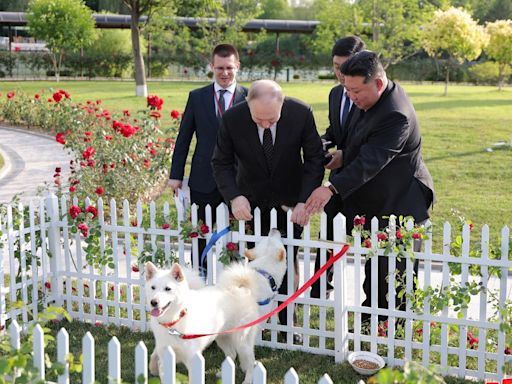 Kim Jong Un gifts Putin dogs as leaders bond over animals, ride horses