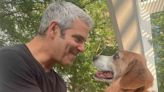 Andy Cohen and His Former Rescue Dog Wacha Share Heartfelt Reunion: 'It Was Heaven'