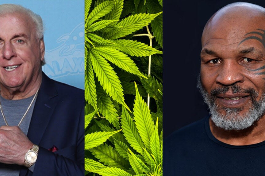 Cannabis Brands By Sports Legends Mike Tyson And Ric Flair Expand Footprint In Missouri