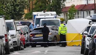 Cyclist, 25, stabbed driver to death through his car window