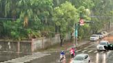 上班族心慌！高雄雷雨國道起大霧 強風外加號誌燈故障