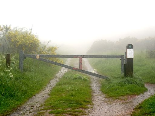 Heavy Downpours on the Way With Thunderstorms Set to Lash England and Wales