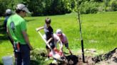 Farmington holds Arbor Day event Saturday at Walton’s Mill Park as part of Tree City USA certification