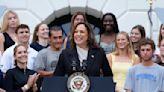 What's a 'brat summer,' and why is Vice President Kamala Harris a part of it?