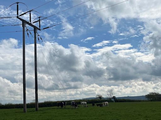 Electricity stations 'will industrialise rural Wales'
