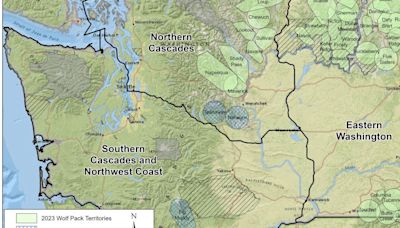 Washington’s gray wolves moving further west; federally delisted from ESA