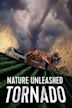 Tornado: Nature Unleashed