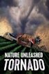 Nature Unleashed: Tornado