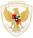 Indonesia national under-20 football team