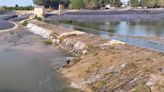El río Albaida deja de estar seco tras aportar la CHJ más caudal