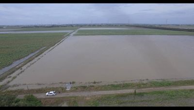 降雨量超過百年防洪頻率 雲林這4村落因這招沒淹水