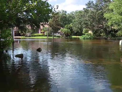 'It's indescribable:' Sarasota neighborhood turned into a swamp by Tropical Storm Debby