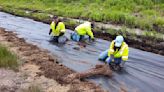 Crews building "snow fence" with natural materials on Highway 47 near Rhinelander