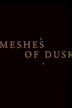 Meshes of Dusk