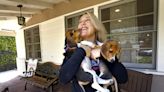 Meghan, Prince Harry adopt beagle rescued from abuse at Virginia plant