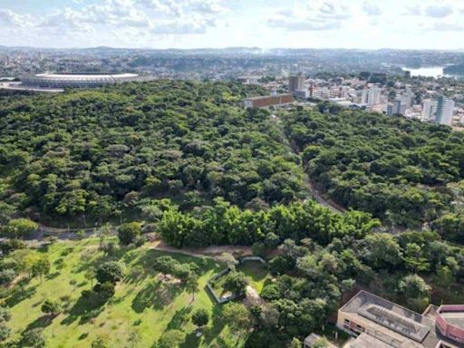 Stock Car denuncia UFMG pelo corte ilegal de 5 mil árvores