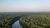 4,300-acre hunter’s paradise in south Alabama sells for $11 million