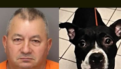 Florida man accused of chopping head off dog he adopted one day earlier and dumping body in park