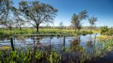 Kissimmee Chain of Lakes, headwaters of Everglades, at near record levels — and rising