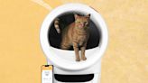 Litter-Robot 4 vs. Leo's Loo Too: Which Automatic Litter Box Is Better?