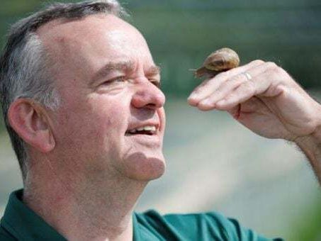 Monaghan farmer plays matchmaker with ‘lonely hearts’ snails - Homepage - Western People