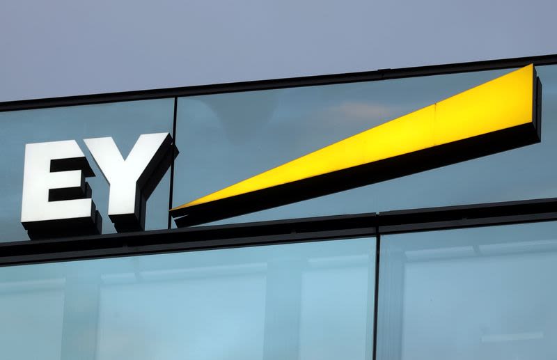 India probing EY's 'work environment' after death of young employee